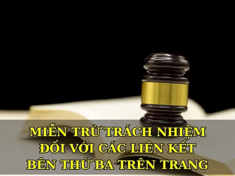 Miễn trừ trách nhiệm đối với các liên kết bên thứ ba trên trang